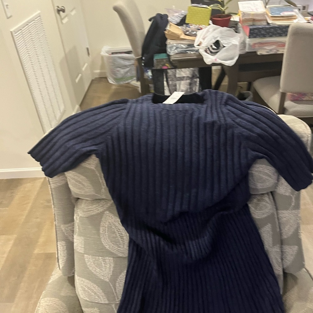 Ann Taylor new with tags blue sweater dress
